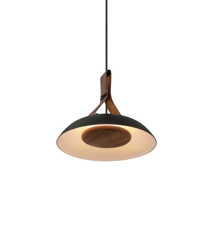 Modern pendant light with black and wood design on a white background