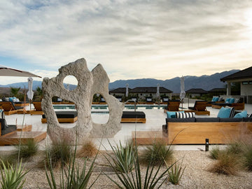 Cast Root Framed Console, Brown Consoles Phillips Collection