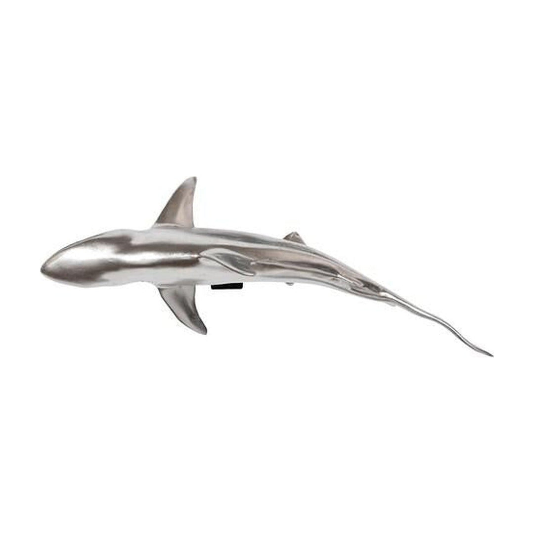 Whaler Shark, Silver Leaf Phillips Collection