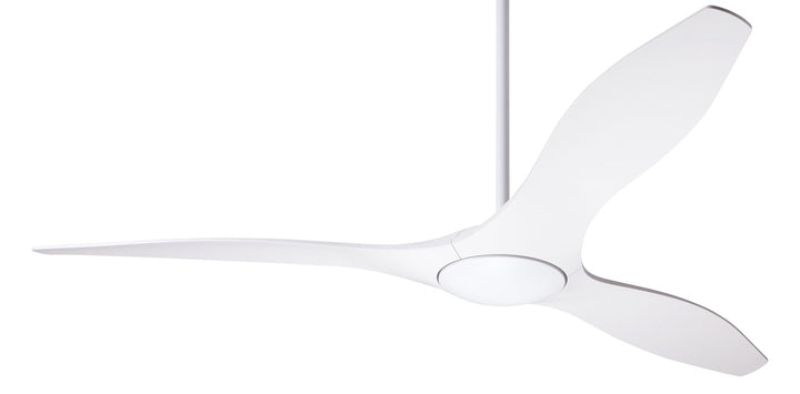 IC/Brisa DC Ceiling Fan by Modern Fan Co