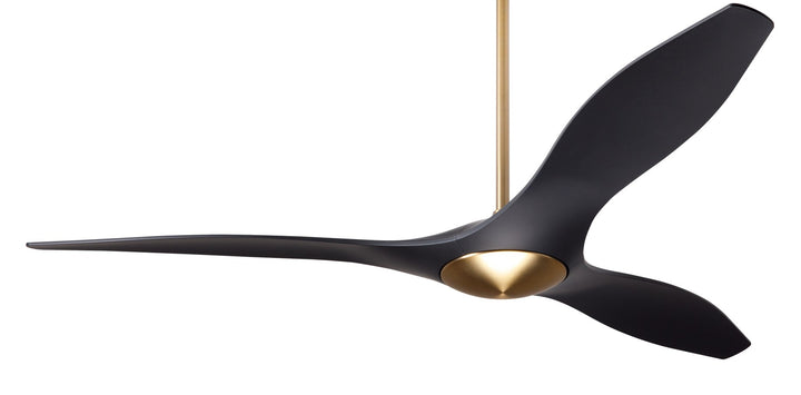 IC/Brisa DC Ceiling Fan by Modern Fan Co