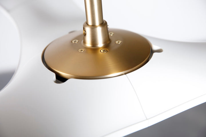 IC/Brisa DC Ceiling Fan by Modern Fan Co