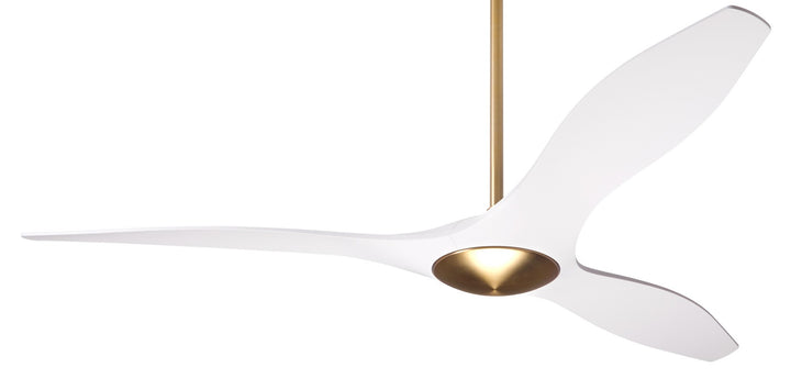 IC/Brisa DC Ceiling Fan by Modern Fan Co