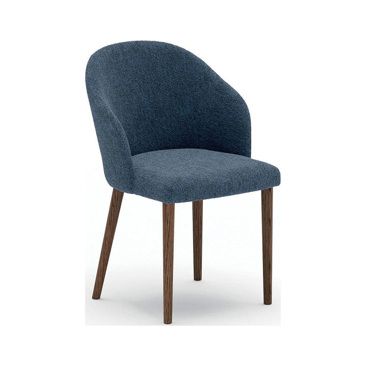 Zico Dining Chair — product (square fill)