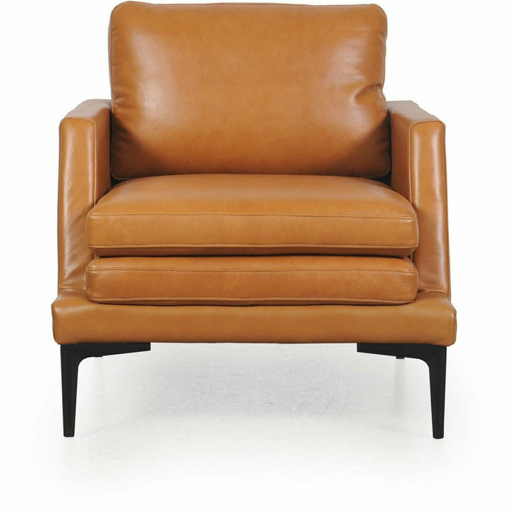 Rica Chair  - 439 Lounge Chairs Moroni