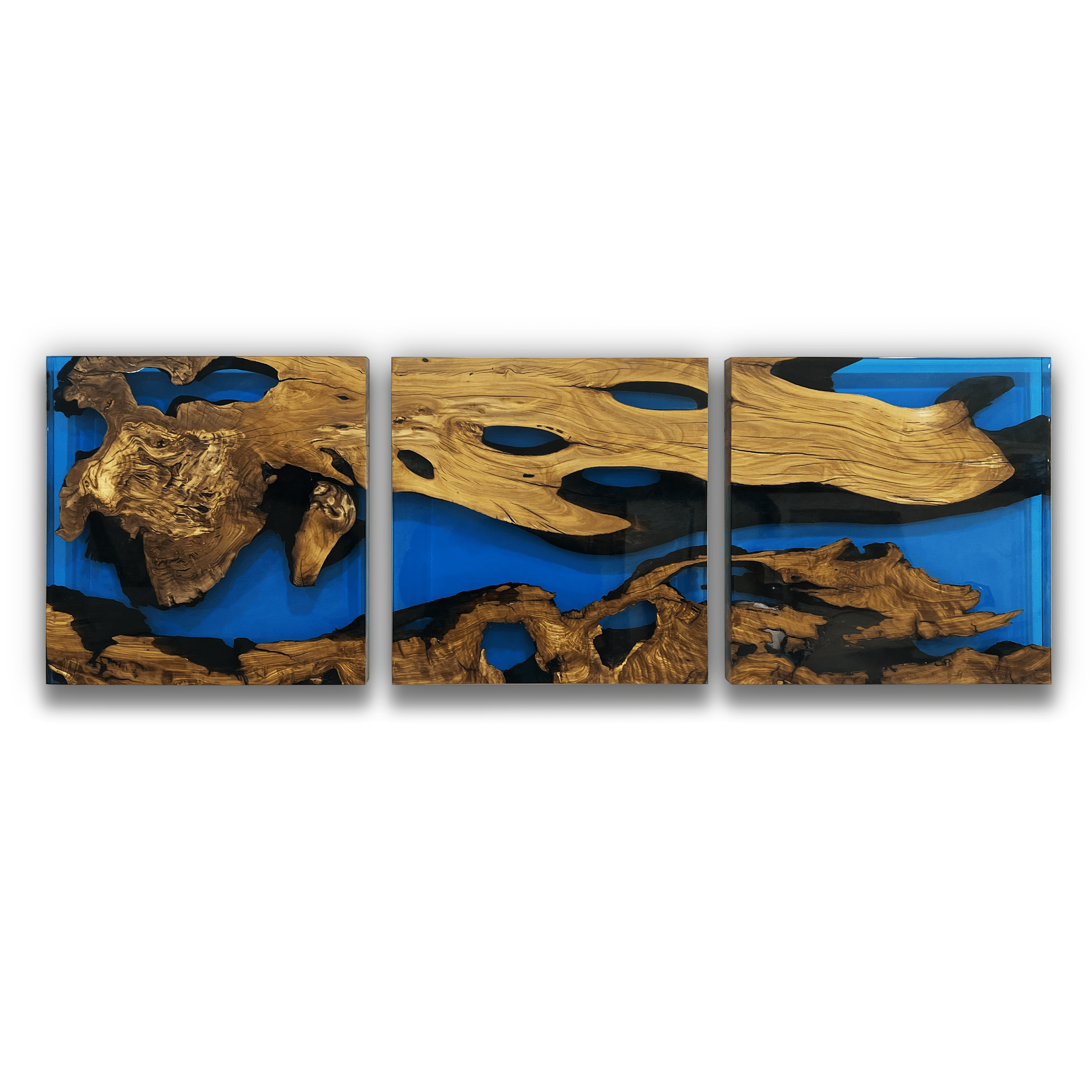 Arditi Collection | Blue Phaetusa Olive Wood Wall Art ARD-065