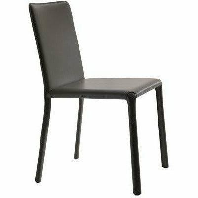 Lunette Chair by Ozzio Dining Chairs Ozzio Italia