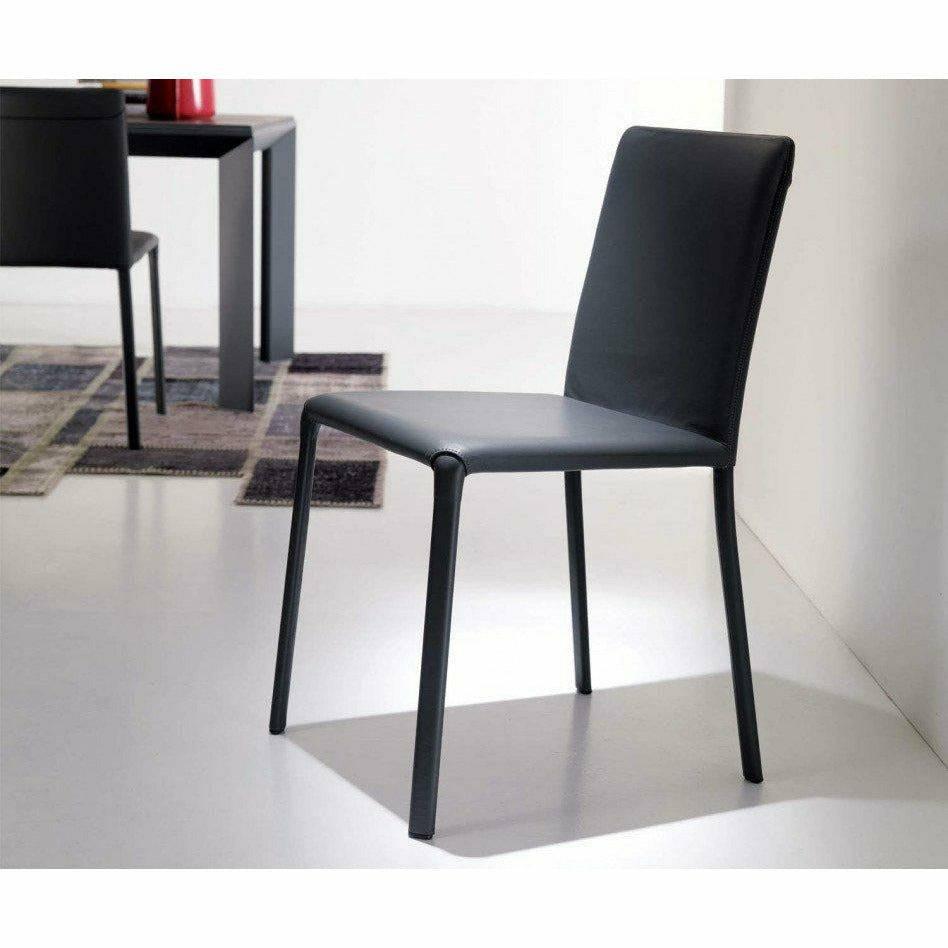Lunette Chair by Ozzio Dining Chairs Ozzio Italia