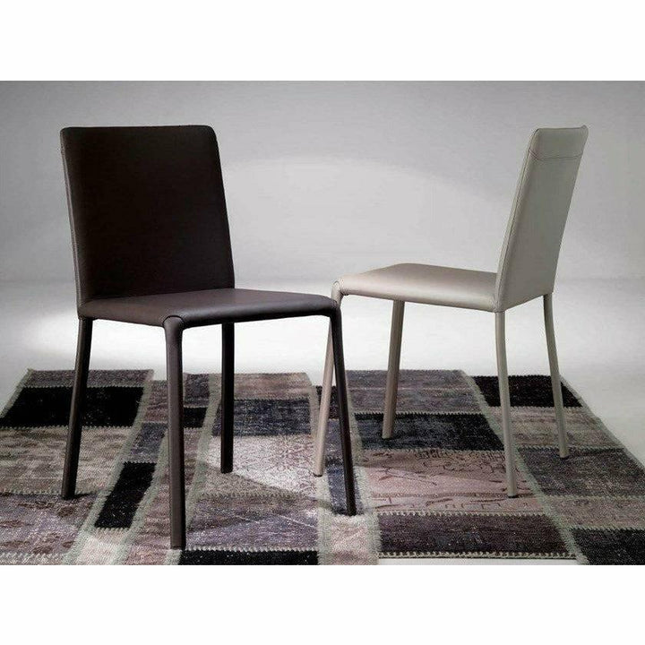 Lunette Chair by Ozzio Dining Chairs Ozzio Italia