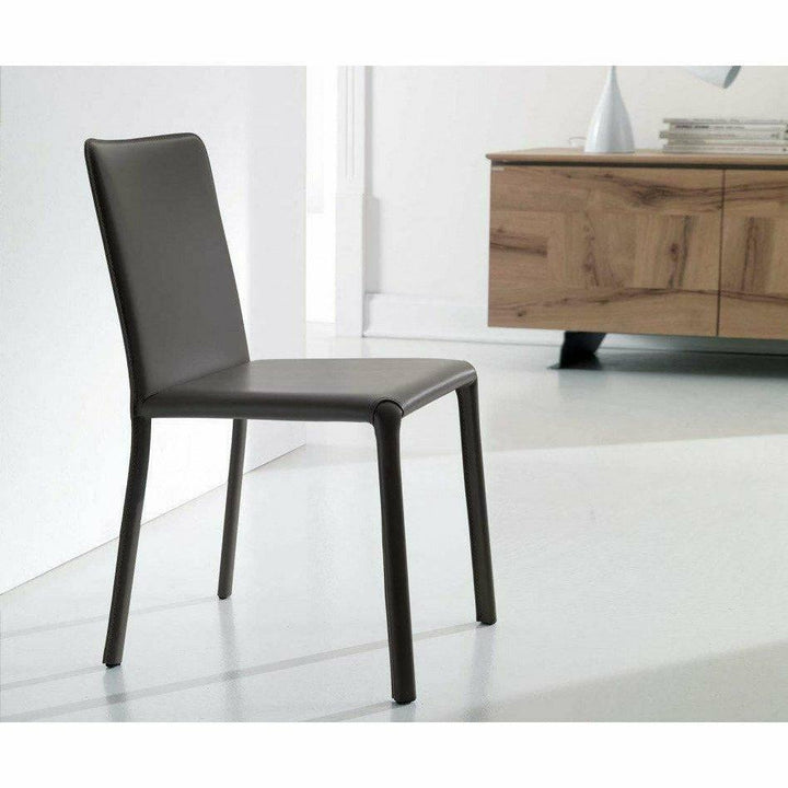 Lunette Chair by Ozzio Dining Chairs Ozzio Italia