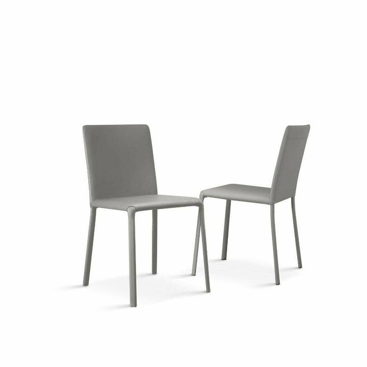 Lunette Chair by Ozzio Dining Chairs Ozzio Italia