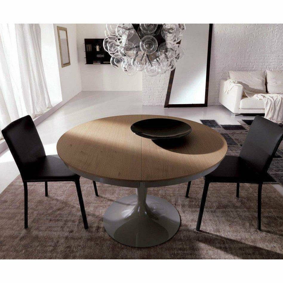 Lunette Chair by Ozzio Dining Chairs Ozzio Italia