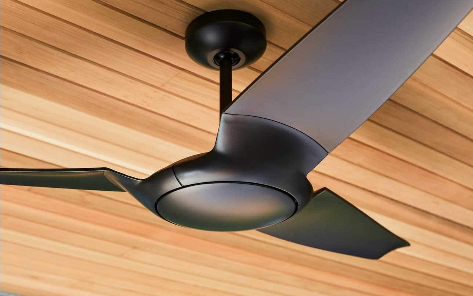 Modern Fan Co ceiling fan lifestyle on wood ceiling at Modern Studio